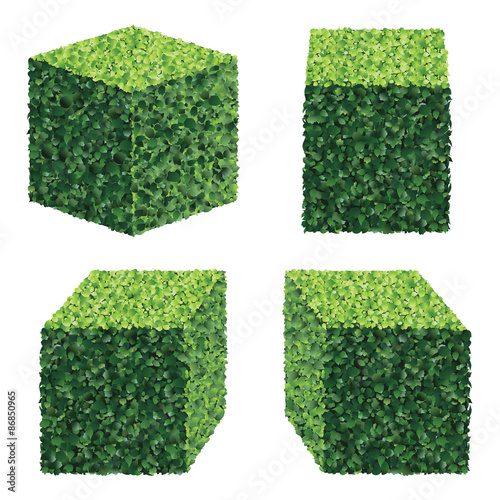 Perspective Square Bushes. Vector bushes.