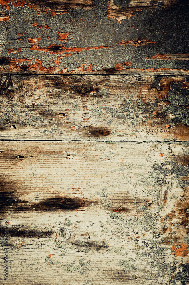 wood grungy background with space for your design wood grungy background with space for your design