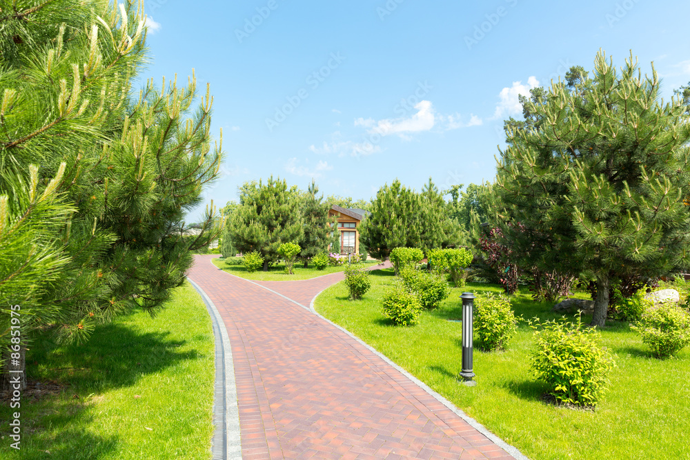 Pavement in the park