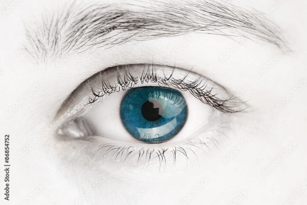 Naklejka premium Makro obraz niebieskiego oka, czarno-białe zdjęcie