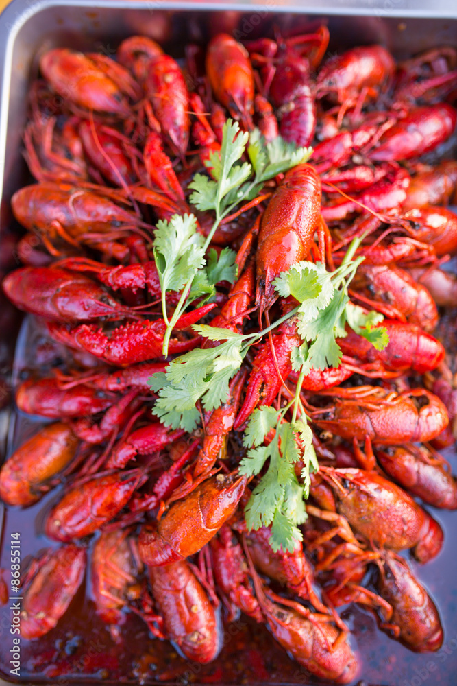 Crayfish Crayfish