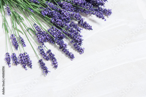 Lavender flowers over white wooden background
