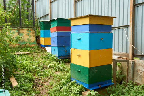 Three beehives