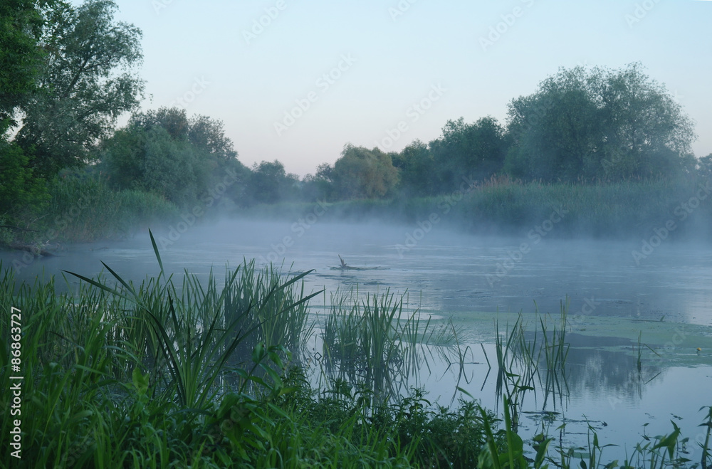 Morning landscape with fog on the river