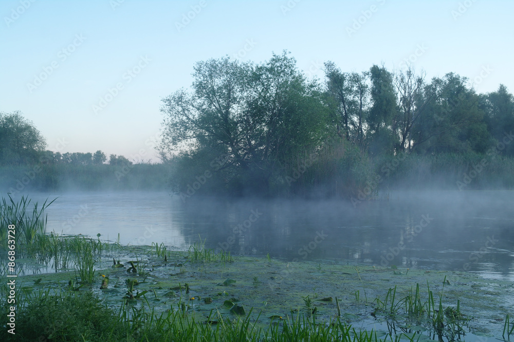 Morning landscape with fog on the river