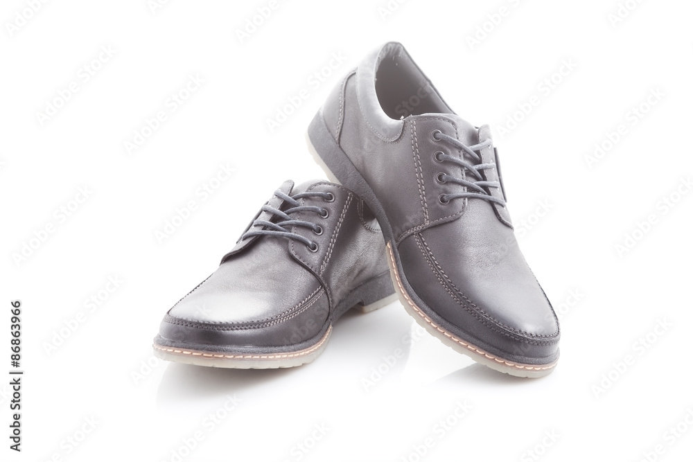shoe shoe