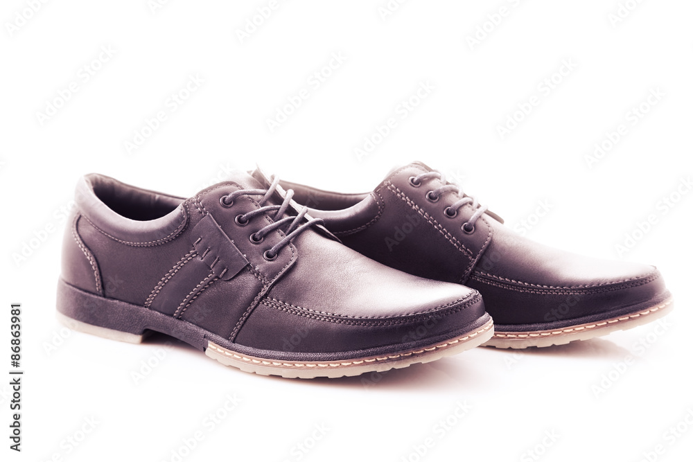 shoe shoe