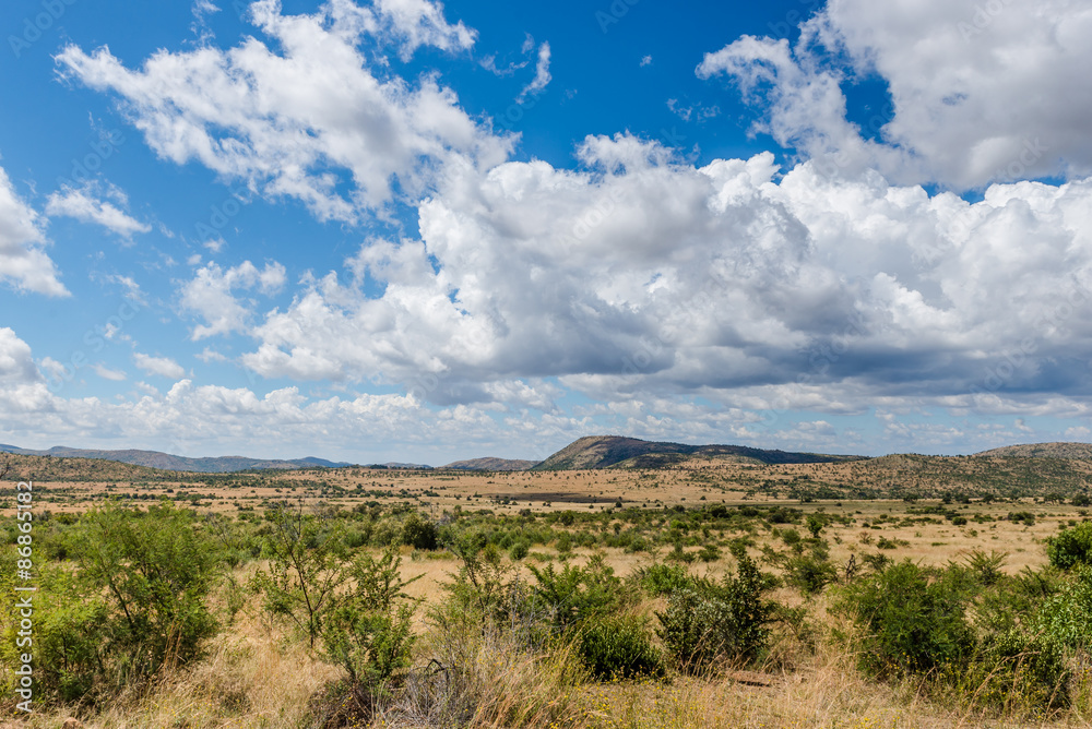 Pilanesberg national park. South Africa.
