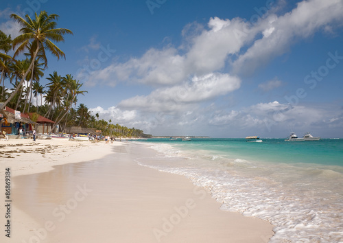 Beach with palm trees and shops near the ocean with boats and yachts