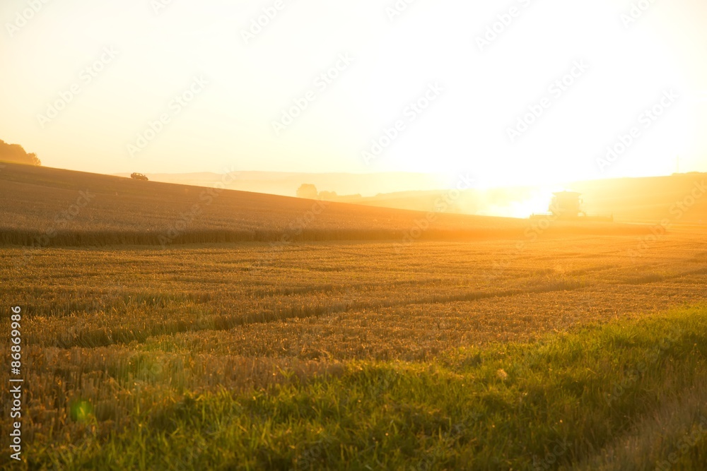 Obraz premium Sonnenuntergang auf dem Land 