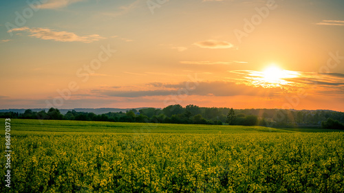 Country landscape