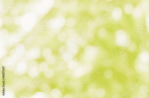 Blur photo, bokeh background. Blurry Yellow plants taken in natural light, may be used as background.