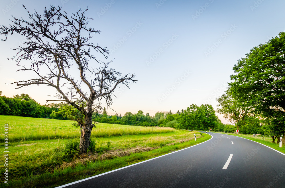 Fototapeta premium Landstrasse