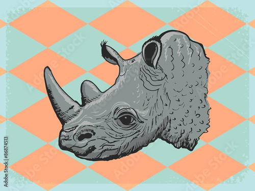 vintage background with rhinoceros