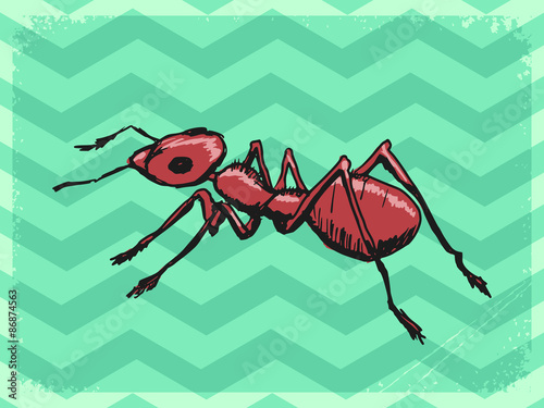 vintage background with ant