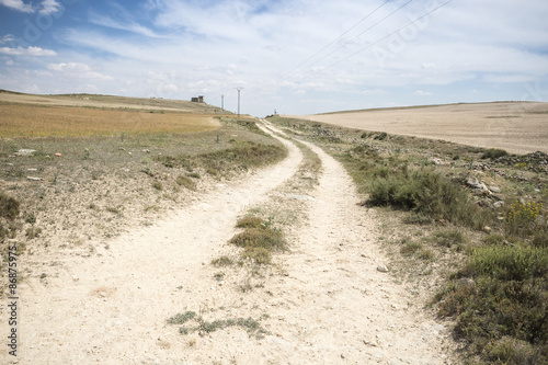 rural path with power pylons on a summer day