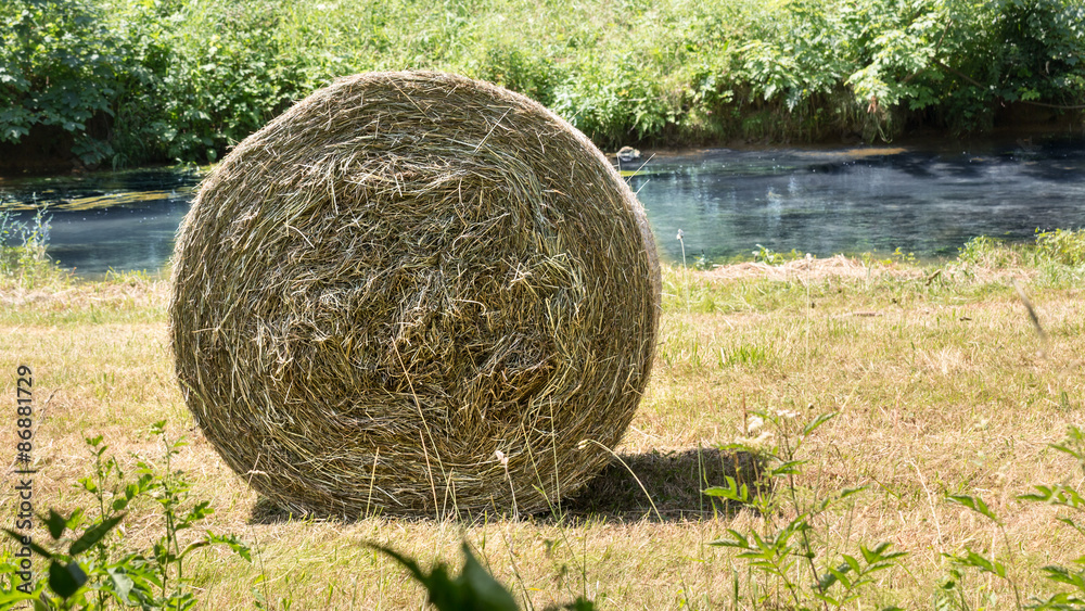 Heuernte 1 Heuernte 1