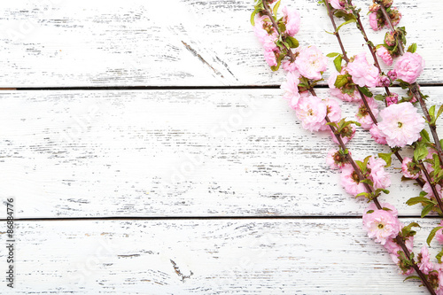 Spring flowering branch on white wooden background