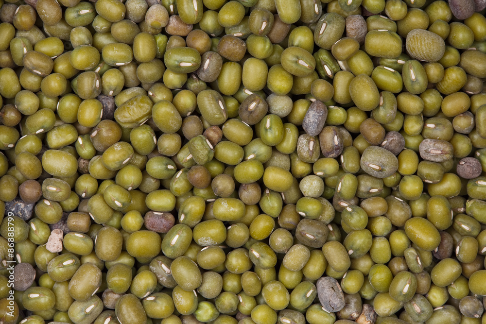Green bean or mung bean background.