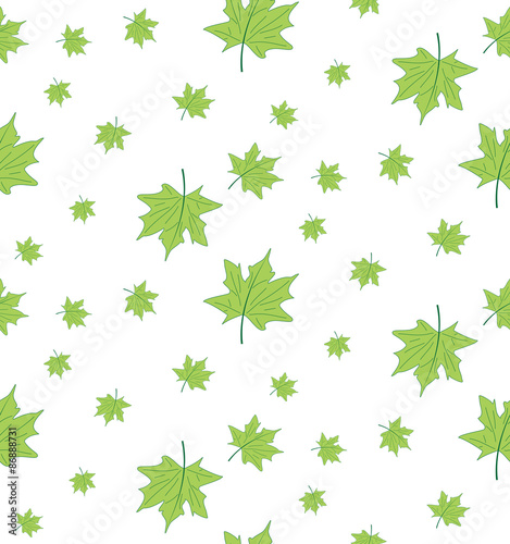 Vector seamless pattern of green maple leaves on a white background. Seamless background from the leaves of the tree.