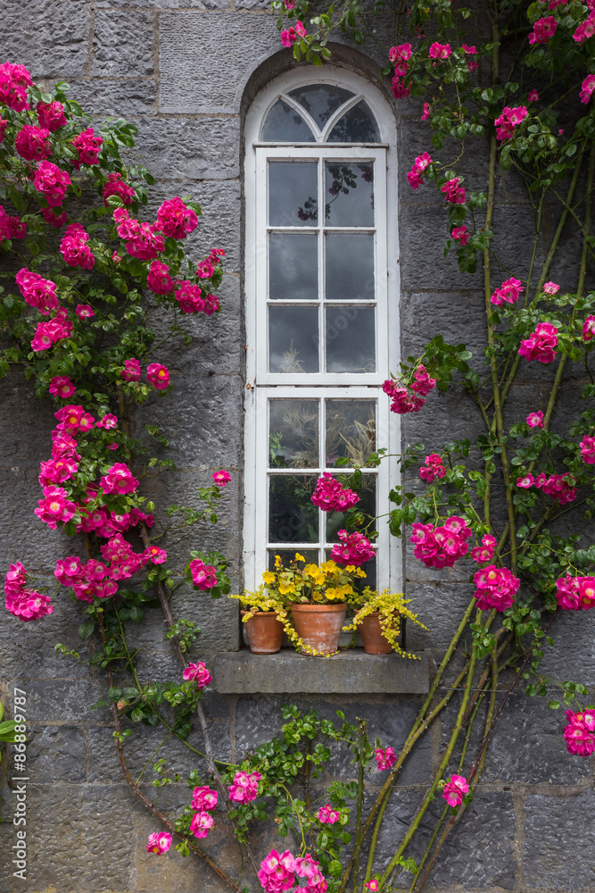お花と窓　 Classic window and flower
