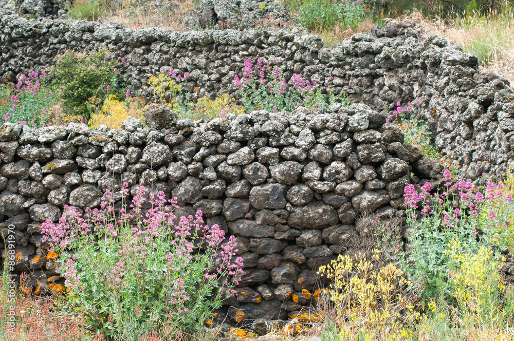 Ruins of an old lava stone house and typical vegetation of Mount Etna