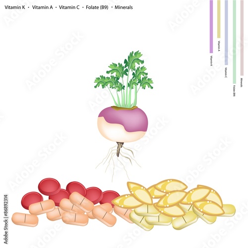 Fresh Turnip with Vitamin K, A, C and B9