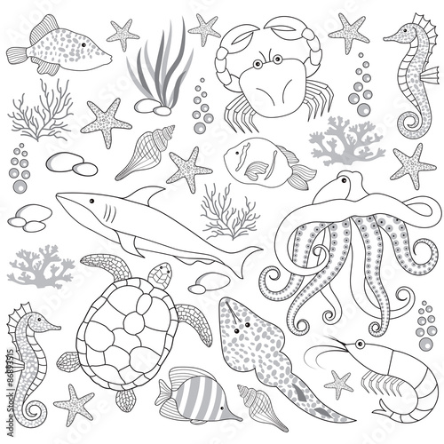 Sea life