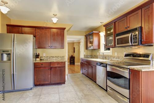 Luxury modern kitchen with stained cabinets  and stainless steel