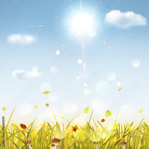 Autumn background with grass, mushrooms, sun and clouds