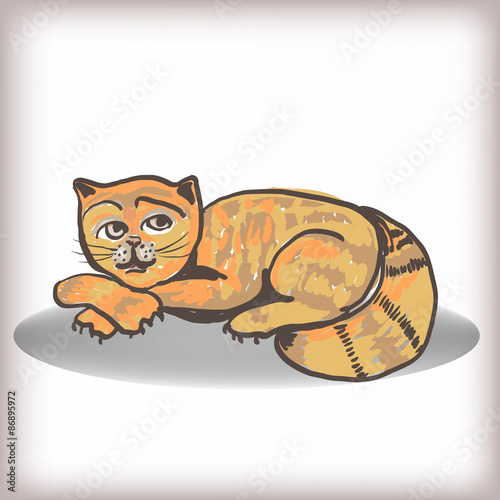 Red cat.