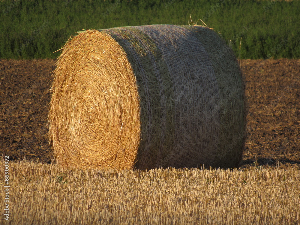 Landwirtschaft - Ackerfeld