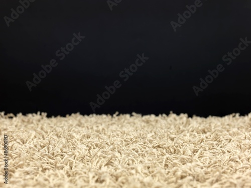 Photography Shag Carpet