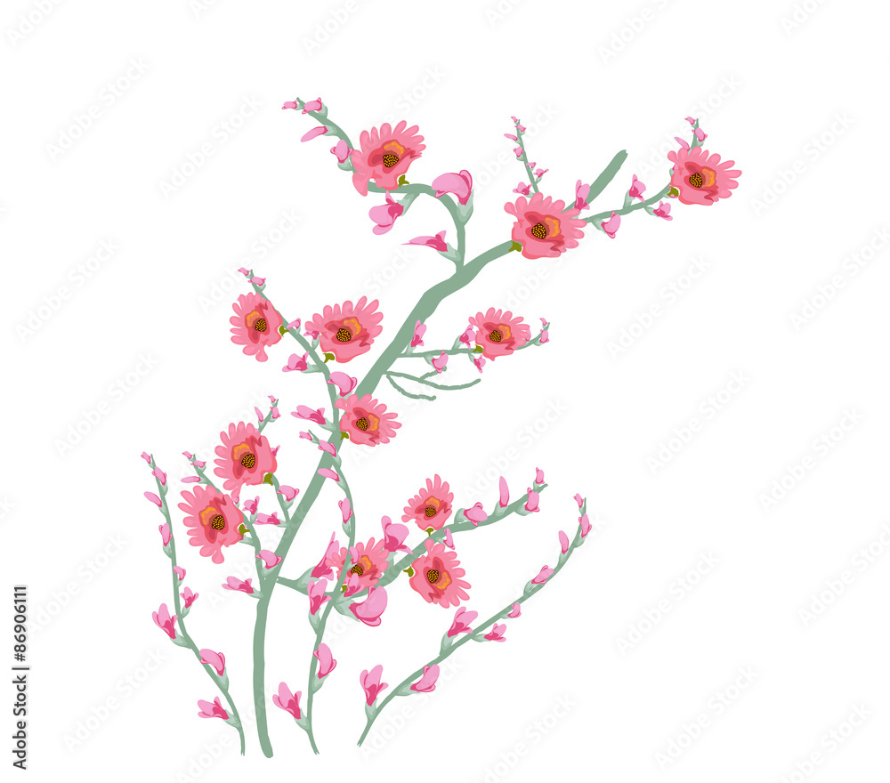 Fototapeta premium Floral Art Watercolor painting flower pink