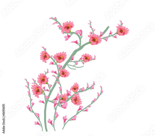Floral Art Watercolor painting flower pink © Big Pearl