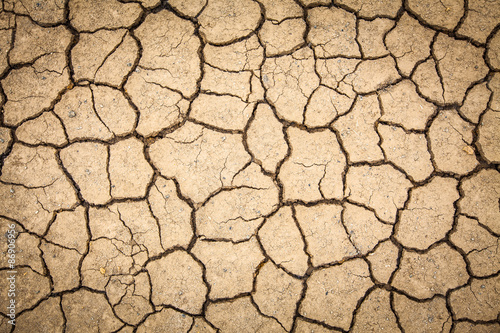 dry cracked of earth