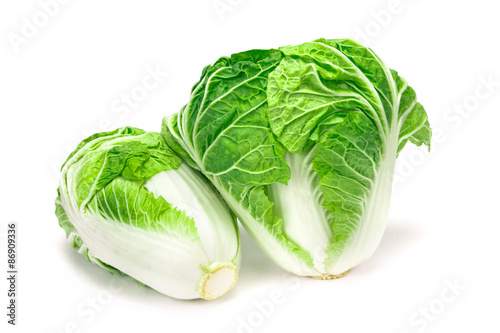 fresh chinese cabbage  on a white background