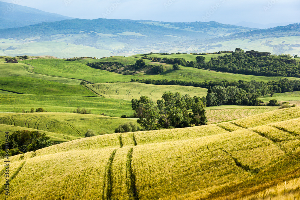 Spring landscape of fields Tuscany, Italy