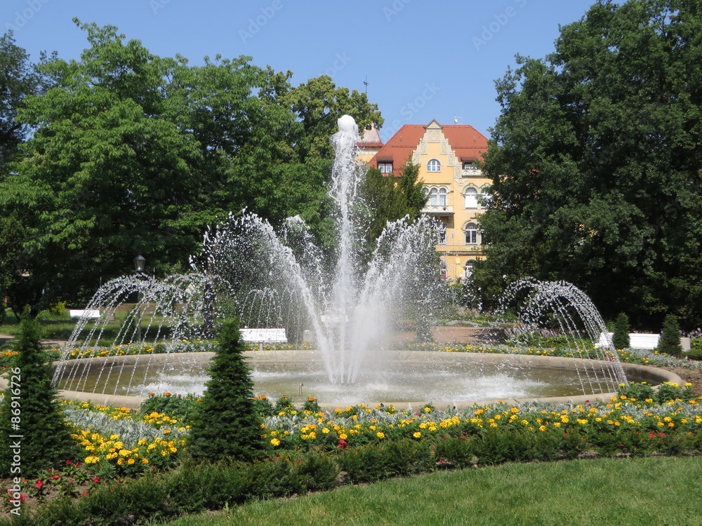 Fototapeta premium Freiberger Stadtpark