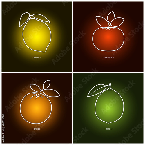 Icon Orange,Lemon,Mandarin,Lime  in the Contours on a  Colored Background, Vector Illustration