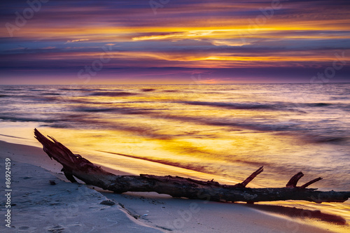 Fototapeta Naklejka Na Ścianę i Meble -  Dry tree on the beach at sunset over sea