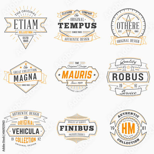 Set of Hipster Vintage Labels  Logotypes  Badges. Thin Line Design Templates