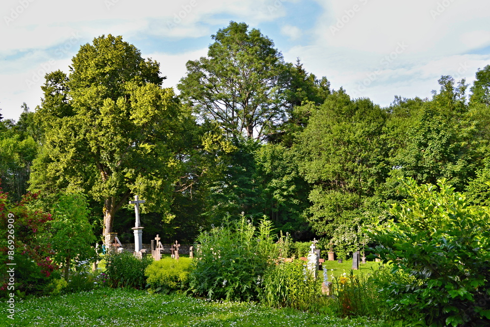 Cemetery garden - between the green and flowers 