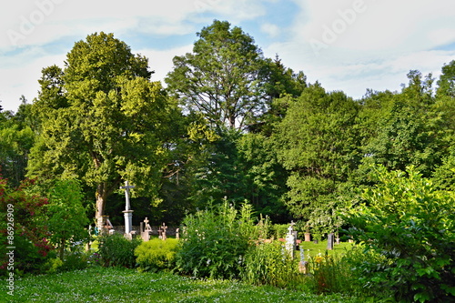 Cemetery garden - between the green and flowers 
