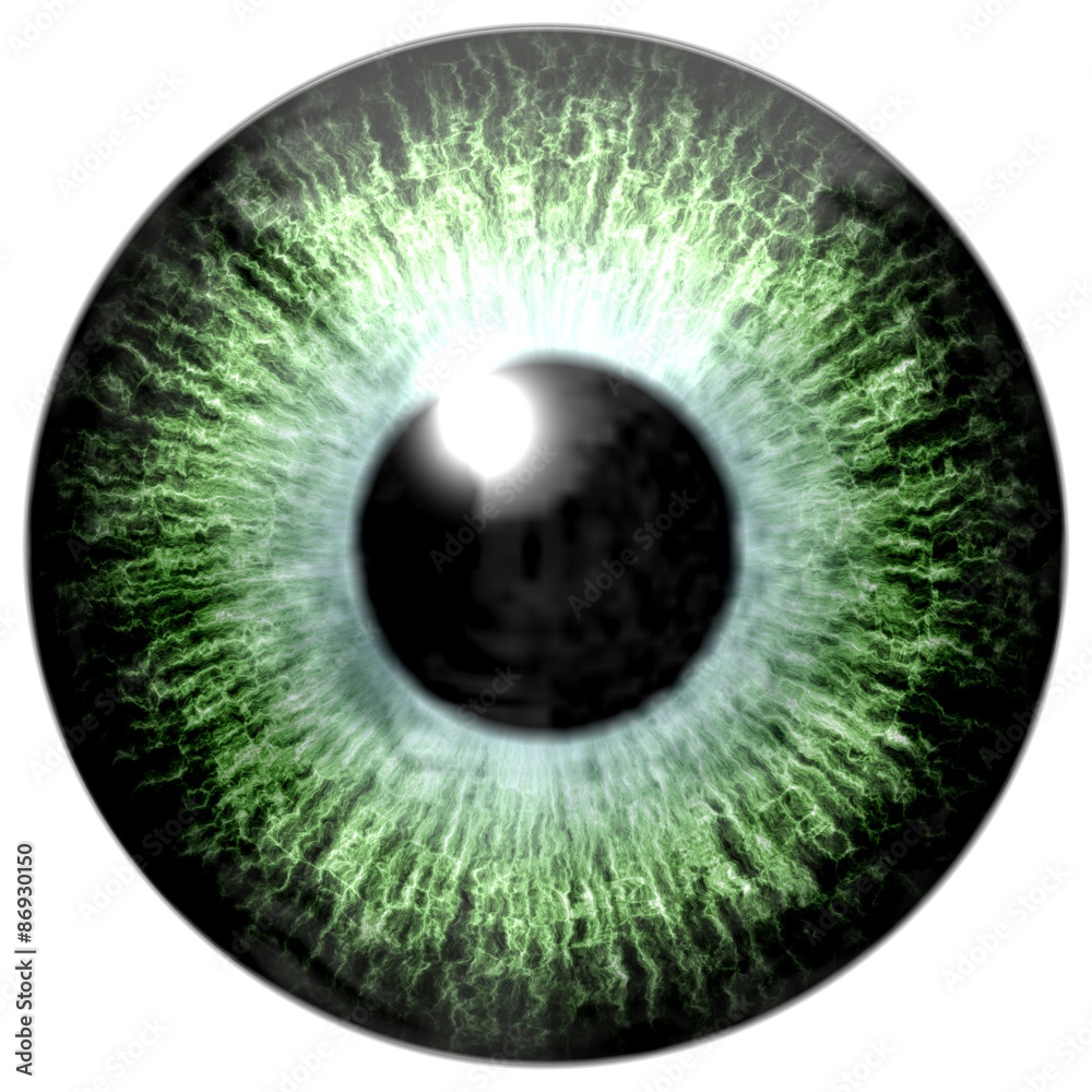 Detail of eye with light green colored iris and black pupil Detail of eye with light green colored iris and black pupil
