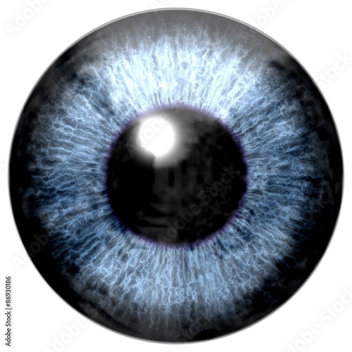 Detail of eye with blue colored iris and black pupil