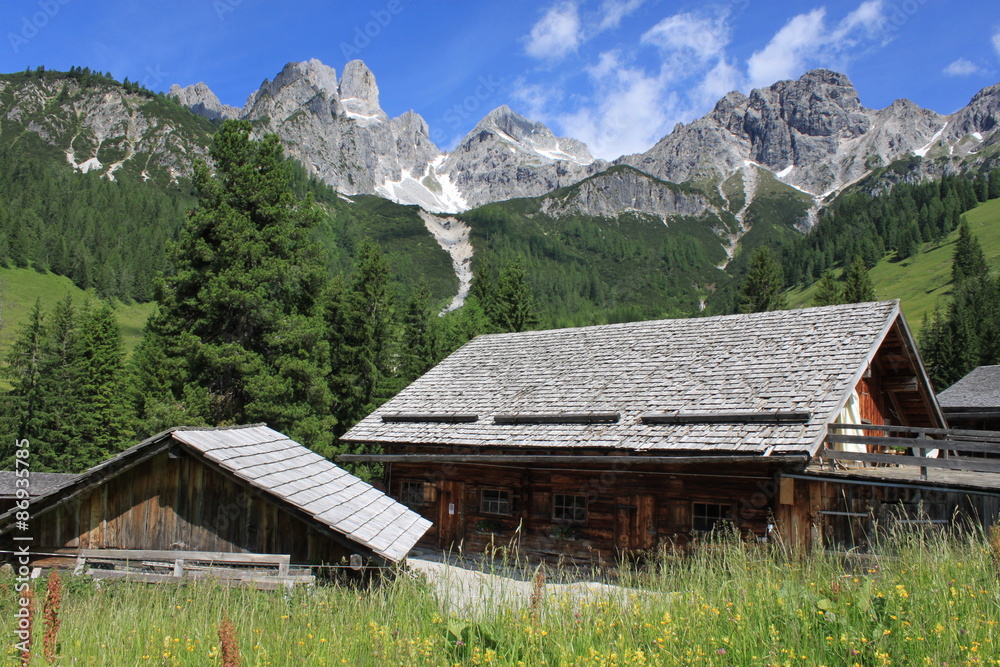 Obraz premium Hofalm 2015 22