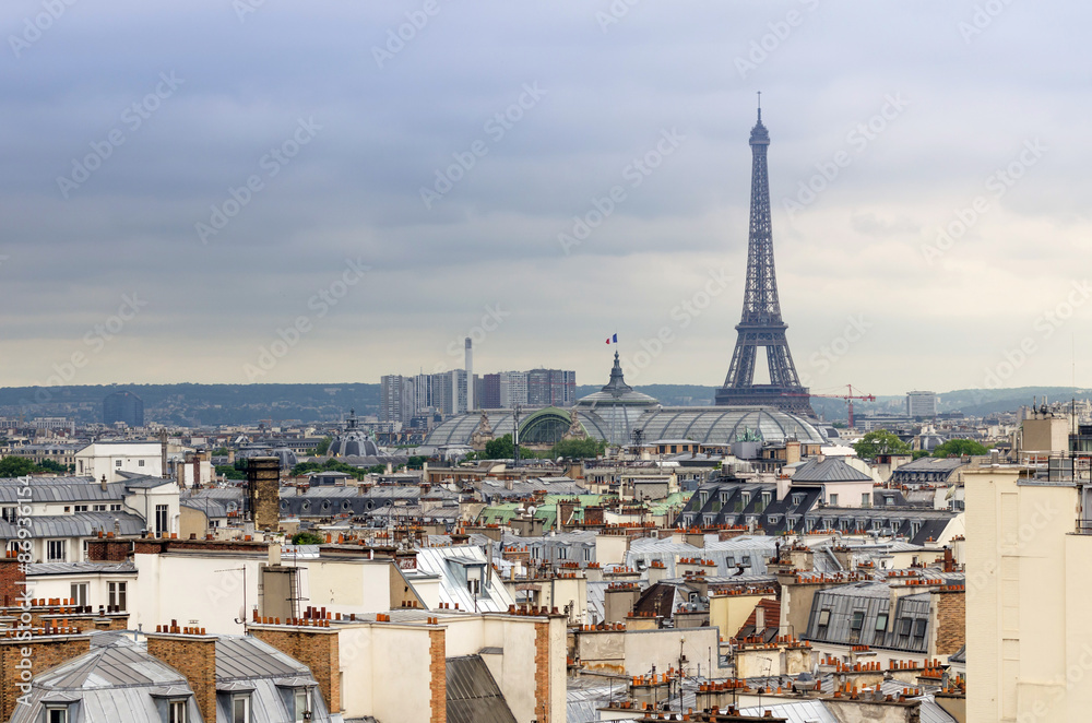 Eiffel Tower and Grand Palais, roofs of Paris