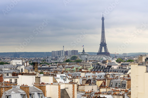 Eiffel Tower and Grand Palais  roofs of Paris