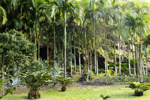 picturesque Habitation Anse Latouche garden in Martinique photo